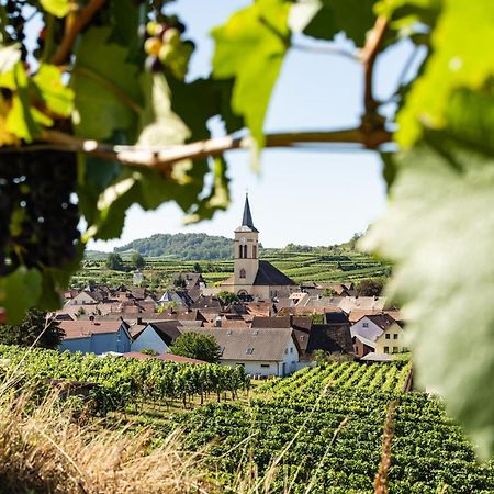 Braviscasa - Ferienresidenz Haus Am Bach Vogtsburg Am Kaiserstuhl Luaran gambar