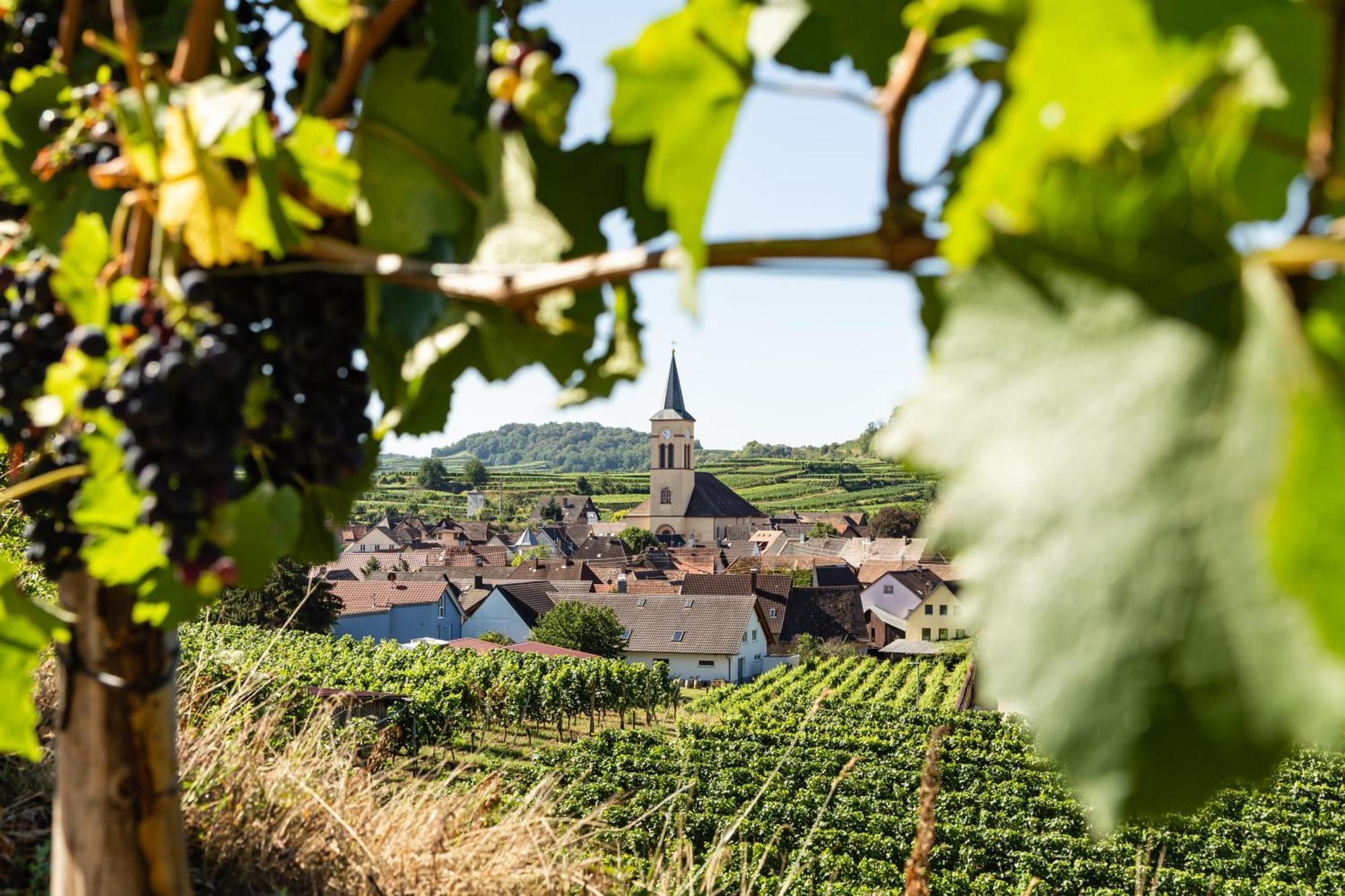 Braviscasa - Ferienresidenz Haus Am Bach Vogtsburg Am Kaiserstuhl Luaran gambar